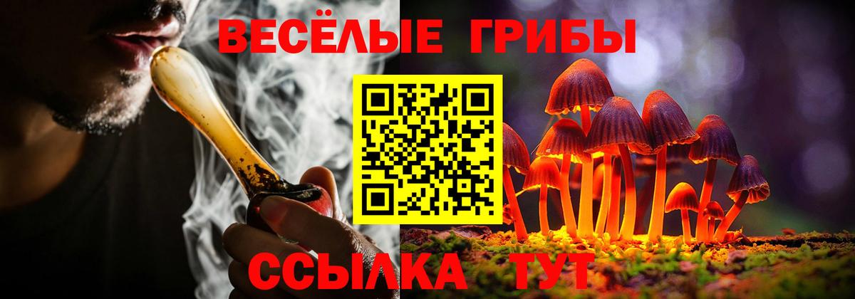 Галлюциногенные грибы прущие грибы  Вход с VPN  Ярославль 